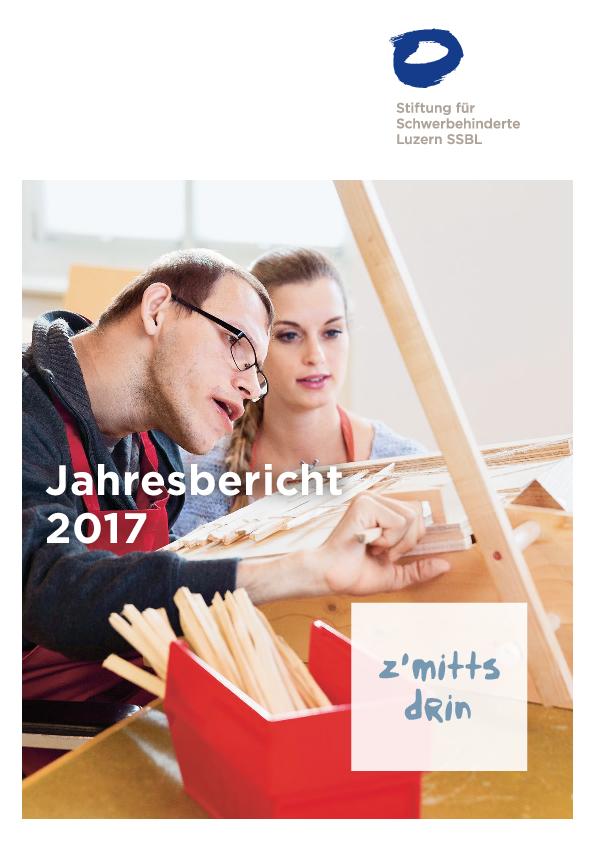 37_ssbl_jahresbericht_2017.pdf